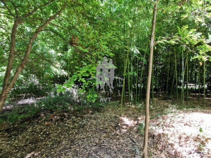 Vente Terrain constructible - 2040m2 - Bargemon (83830)
