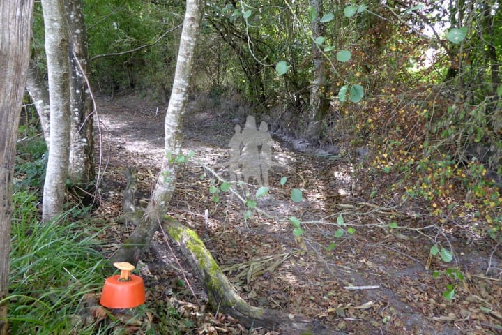 Vente Terrain constructible - 3300m2 - Obterre (36290)